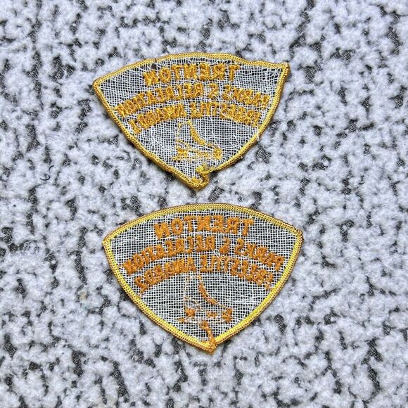 VTG New Jersey TRENTON PARKS & RECREATION Ice Figure Skating 9 Patch Lot Skate - Picture 5 of 11